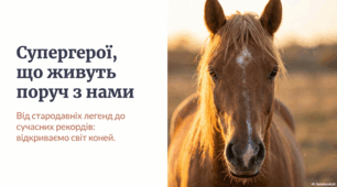 Світ коней: історія, шанування та захист благородних тварин