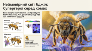 Неймовірний світ бджіл: Супергерої серед комах
