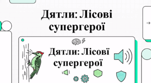 Дятли: Лісові супергерої
