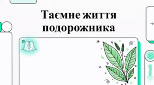 Таємне життя подорожника. Цікаві факти