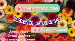 Мовленнєва гра "Назви ласкаво"(Кімнатні рослини)