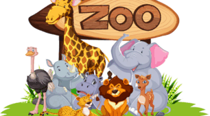 Im Zoo