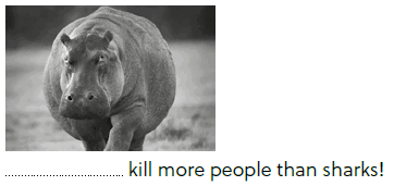 090124e3-0535-362x171.png