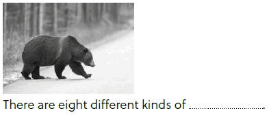 090124en-b05a-393x169.png