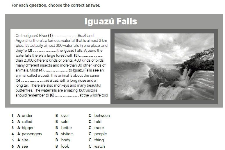 090124qz-47f7-774x516.png