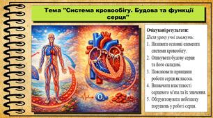 Система кровообігу. Будова та функції серця. Біологія. 8 клас (НУШ). До підручника Балан П., Козленко О. та ін.