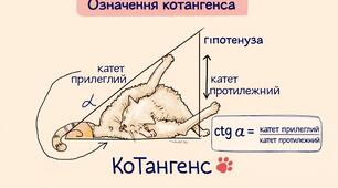 Ілюстрації на тему синус, косинус і тангенс гострого кута 8 клас НУШ
