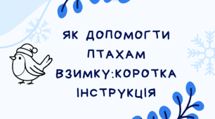 Як допомогти птахам взимку:коротка інструкція