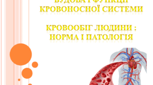 Будова і функції кровоносної системи. Кровообіг людини : норма і патологія