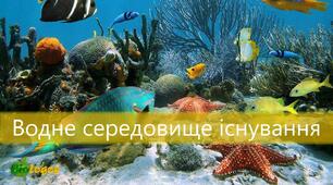 Дидактичний матеріал "Водне середовище існування"