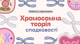 Хромосомна теорія спадковості
