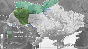 Презентація "Віртуальна експедиція Поліссям: таємниці лісової фауни"