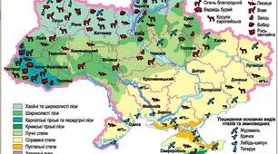 Презентація "Тваринний світ України: різноманіття, екологія та охорона"