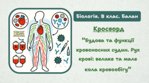 Кросворд "Будова та функції кровоносних судин. Рух крові: велике та мале кола кровообігу"