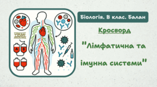 Кросворд "Лімфатична та імунна системи"