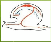 09012hhu-6fa3-178x147.png