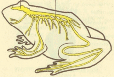 09012hhv-7d3e-233x157.png