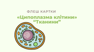 Флеш картки до тем: "Компоненти цитоплазми еукаріотичної клітини", "Різноманітність тканин організму людини"