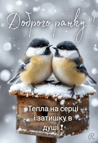 09012huj-8666-321x466.png