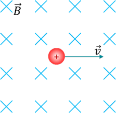 09012n98-0933-230x224.png