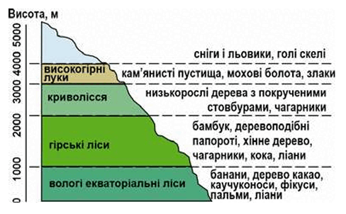 09012pn8-207d-488x302.png