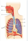 09012qi6-8085-99x142.png