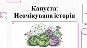 Відеоогляд "17 лютого - Всесвітній день капусти"