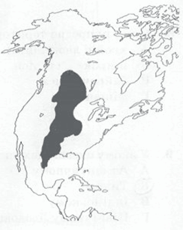 09012t59-490f-373x469.png