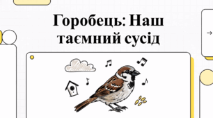 Горобець: Наш таємний сусід