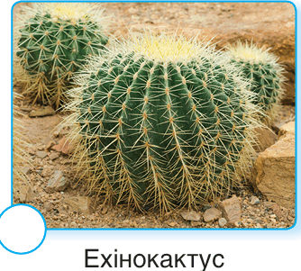 09012xth-e238-334x301.png