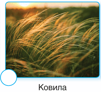 09012xtp-8b7d-339x308.png