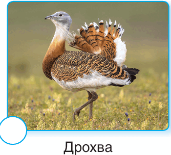 09012xuf-308d-334x304.png
