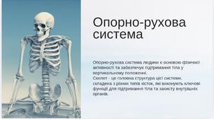 Що утворює опорно-рухову систему. Як ми пересуваємося?