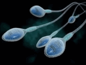 09013023-3b7e-172x129.png