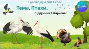Презентація "Птахи." ЯДС 1 клас, підручник І. Жаркової