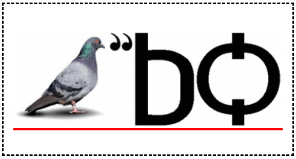 09013514-bfb7-577x311.png