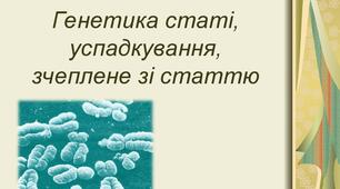 Презентація до уроку "Генетика статі" з гарним поясненням