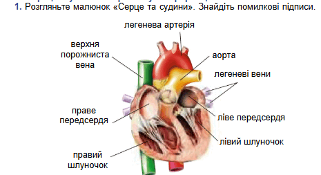 090138ba-38e0-465x253.png