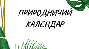 Природничий календар (ГРУДЕНЬ)