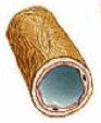 090139yx-f00e-186x226.png