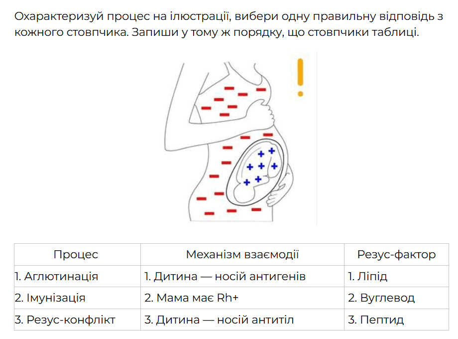 09013ale-c4c6-920x680.png