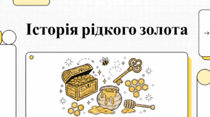 Мед: історія, користь та мистецтво бджільництва