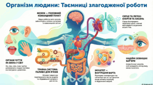 Організм людини