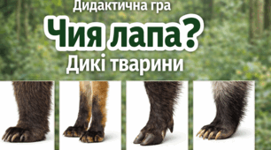 Дидактична гра "Чия лапа? Дикі тварини"