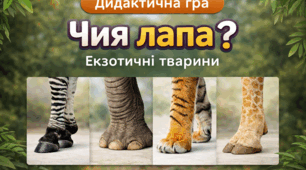 Дидактична гра "Чия лапа? Екзотичні тварини"