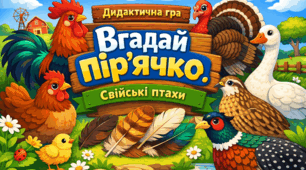 Дидактична гра "Вгадай пір'ячко. Свійські птахи"