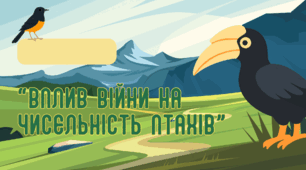 Презентація на тему "Вплив війни на чисельність птахів України"