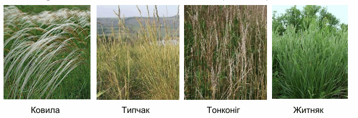 09013f81-7485-708x234.png