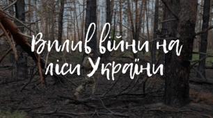 Презентація на тему "Вплив війни на ліси України"