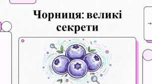 Чорниця: Природна Скарбниця Здоров’я та Цікаві Факти